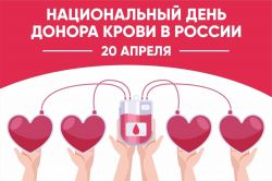 IMG 20250418 WA0016